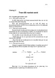 Bài giảng môn Hóa sinh - Chương 12: Trao đổi nucleic acid