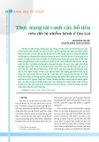 Thực trạng tái canh cây hồ tiêu trên đất bị nhiễm bệnh ở Gia Lai