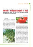 Ảnh hưởng của nồng độ chlorine kết hợp chất kháng ethylene 1 - methylcyclopropene (1- mcp)  đến quá trình chính sau thu hoạch của quả cà chua (lycopersicon esculentum)