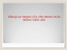 Bài giảng Tầm quan trọng của tảo trong nuôi trồng thủy sản