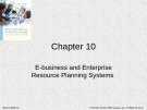Lecture Accounting information systems: Basic concepts and current issues (3rd edition): Chapter 10 - Robert L. Hurt
