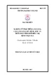 Tóm tắt Luận án tiến sĩ Y học: Mô tả đặc điểm lâm sàng, cận lâm sàng, mô bệnh học và bước đầu theo dõi điều trị bệnh thận IgA