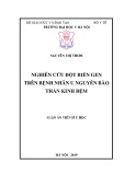 Luận án tiến sĩ Y học: Nghiên cứu đột biến gen trên bệnh nhân u nguyên bào thần kinh đệm