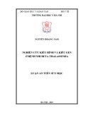 Luận án tiến sĩ Y học: Nghiên cứu kiểu hình và kiểu gen ở bệnh nhi β-Thalassmia