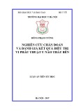 Luận án tiến sĩ Y học: Nghiên cứu chẩn đoán và đánh giá kết quả điều trị vi phẫu thuật u não thất bên