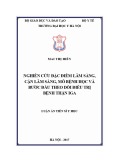 Luận án tiến sĩ Y học: Mô tả đặc điểm lâm sàng, cận lâm sàng, mô bệnh học và bước đầu theo dõi điều trị bệnh thận IgA