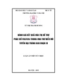 Luận án tiến sĩ Y học: Đánh giá kết quả hóa trị bổ trợ phác đồ folfox4 trong ung thư biểu mô tuyến đại tràng giai đoạn III