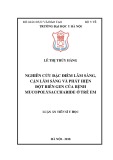 Luận án tiến sĩ Y học: Nghiên cứu đặc điểm lâm sàng, cận lâm sàng và phát hiện đột biến gen của bệnh Mucopolysaccharide ở trẻ em