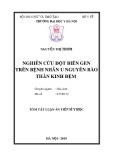 Tóm tắt Luận án tiến sĩ Y học: Nghiên cứu đột biến gen trên bệnh nhân u nguyên bào thần kinh đệm