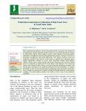 Production constraints in cultivation of pulp wood trees in Tamil Nadu, India