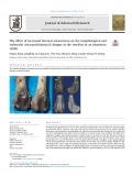 The effect of increased femoral anteversion on the morphological and trabecular microarchitectural changes in the trochlea in an immature rabbit