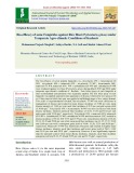Bio-efficacy of some fungicides against rice blast (Pyricularia grisea) under temperate agro-climatic conditions of Kashmir