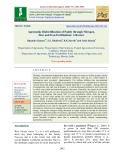 Agronomic biofortification of paddy through nitrogen, zinc and iron fertilization: A review