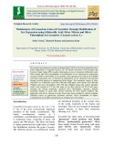 Maintenance of gynoecious lines of cucumber through modification of sex expression using gibberellic acid, silver nitrate and silver thiosulphate in cucumber (Cucumis sativus L.)