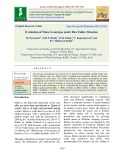 Evaluation of maize genotypes under rice fallow situation