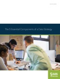 The 5 essential components of a data strategy