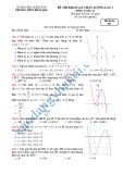 Đề khảo sát chất lượng môn Toán 12 năm 2019 - THPT Đồng Đậu, Vĩnh Phúc