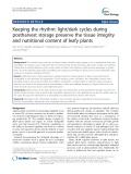 Keeping the rhythm: Light/dark cycles during postharvest storage preserve the tissue integrity and nutritional content of leafy plants