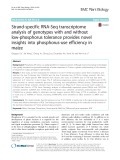 Strand-specific RNA-Seq transcriptome analysis of genotypes with and without low-phosphorus tolerance provides novel insights into phosphorus-use efficiency in maize