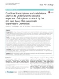 Combined transcriptome and metabolome analyses to understand the dynamic responses of rice plants to attack by the rice stem borer Chilo suppressalis (Lepidoptera: Crambidae)
