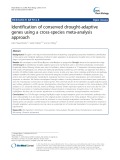 Identification of conserved drought-adaptive genes using a cross-species meta-analysis approach