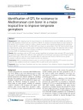 Identification of QTL for resistance to Mediterranean corn borer in a maize tropical line to improve temperate germplasm