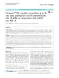 Tobacco TTG2 regulates vegetative growth and seed production via the predominant role of ARF8 in cooperation with ARF17 and ARF19