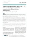 Comparative characterization of two GDPmannose dehydrogenase genes from Saccharina japonica (Laminariales, Phaeophyceae)
