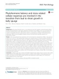 Phytohormone balance and stress-related cellular responses are involved in the transition from bud to shoot growth in leafy spurge