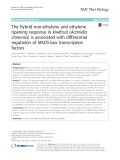 The hybrid non-ethylene and ethylene ripening response in kiwifruit (Actinidia chinensis) is associated with differential regulation of MADS-box transcription factors