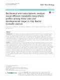 Biochemical and transcriptomic analyses reveal different metabolite biosynthesis profiles among three color and developmental stages in ‘Anji Baicha’ (Camellia sinensis)