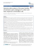 Genome-wide analysis of the gene families of resistance gene analogues in cotton and their response to Verticillium wilt