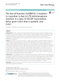 The loss-of-function GLABROUS 3 mutation in cucumber is due to LTR-retrotransposon insertion in a class IV HD-ZIP transcription factor gene CsGL3 that is epistatic over CsGL1