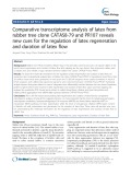 Comparative transcriptome analysis of latex from rubber tree clone CATAS8-79 and PR107 reveals new cues for the regulation of latex regeneration and duration of latex flow