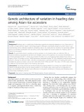 Genetic architecture of variation in heading date among Asian rice accessions