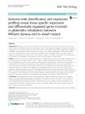 Genome-wide identification and expression profiling reveal tissue-specific expression and differentially-regulated genes involved in gibberellin metabolism between Williams banana and its dwarf mutant