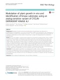 Modulation of plant growth in vivo and identification of kinase substrates using an analog-sensitive variant of CYCLINDEPENDENT KINASE A;1