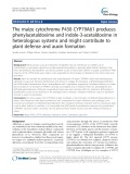 The maize cytochrome P450 CYP79A61 produces phenylacetaldoxime and indole-3-acetaldoxime in heterologous systems and might contribute to plant defense and auxin formation