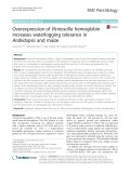 Overexpression of Vitreoscilla hemoglobin increases waterlogging tolerance in Arabidopsis and maize