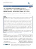 Temporal patterns of gene expression associated with tuberous root formation and development in sweetpotato (Ipomoea batatas)