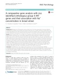 A comparative gene analysis with rice identified orthologous group II HKT genes and their association with Na+ concentration in bread wheat