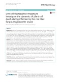Live-cell fluorescence imaging to investigate the dynamics of plant cell death during infection by the rice blast fungus Magnaporthe oryzae