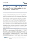 Mineral nitrogen sources differently affect root glutamine synthetase isoforms and amino acid balance among organs in maize