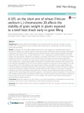 A QTL on the short arm of wheat (Triticum aestivum L.) chromosome 3B affects the stability of grain weight in plants exposed to a brief heat shock early in grain filling