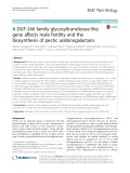 A DUF-246 family glycosyltransferase-like gene affects male fertility and the biosynthesis of pectic arabinogalactans