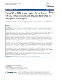 TaNAC29, a NAC transcription factor from wheat, enhances salt and drought tolerance in transgenic Arabidopsis