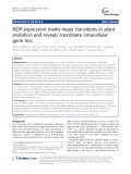NDH expression marks major transitions in plant evolution and reveals coordinate intracellular gene loss