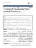 Transcriptionally active LTR retrotransposons in Eucalyptus genus are differentially expressed and insertionally polymorphic