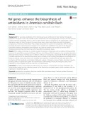 Rol genes enhance the biosynthesis of antioxidants in Artemisia carvifolia Buch