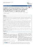 Isolation and characterization of the C-class MADS-box gene involved in the formation of double flowers in Japanese gentian